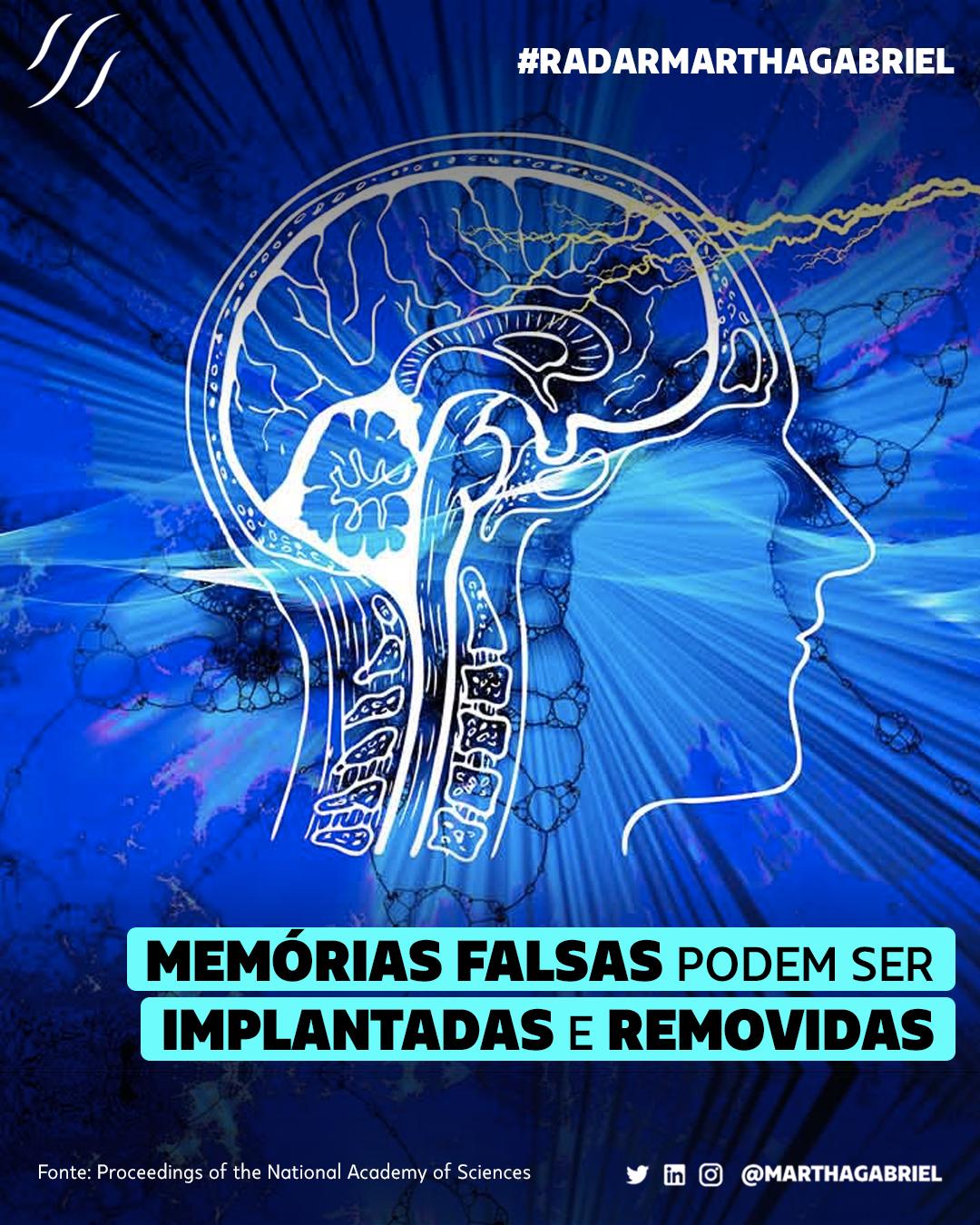 Memórias falsas podem ser implantadas e removidas