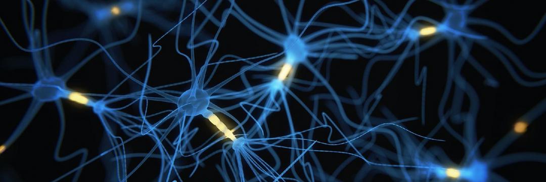 Laboratório está desenvolvendo chips híbridos formados por neurônios humanos