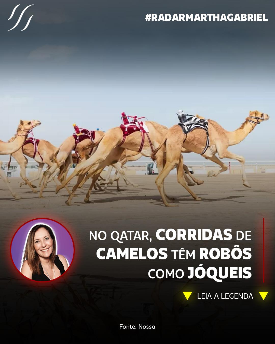 No Qatar, corridas de camelos têm robôs como jóqueis