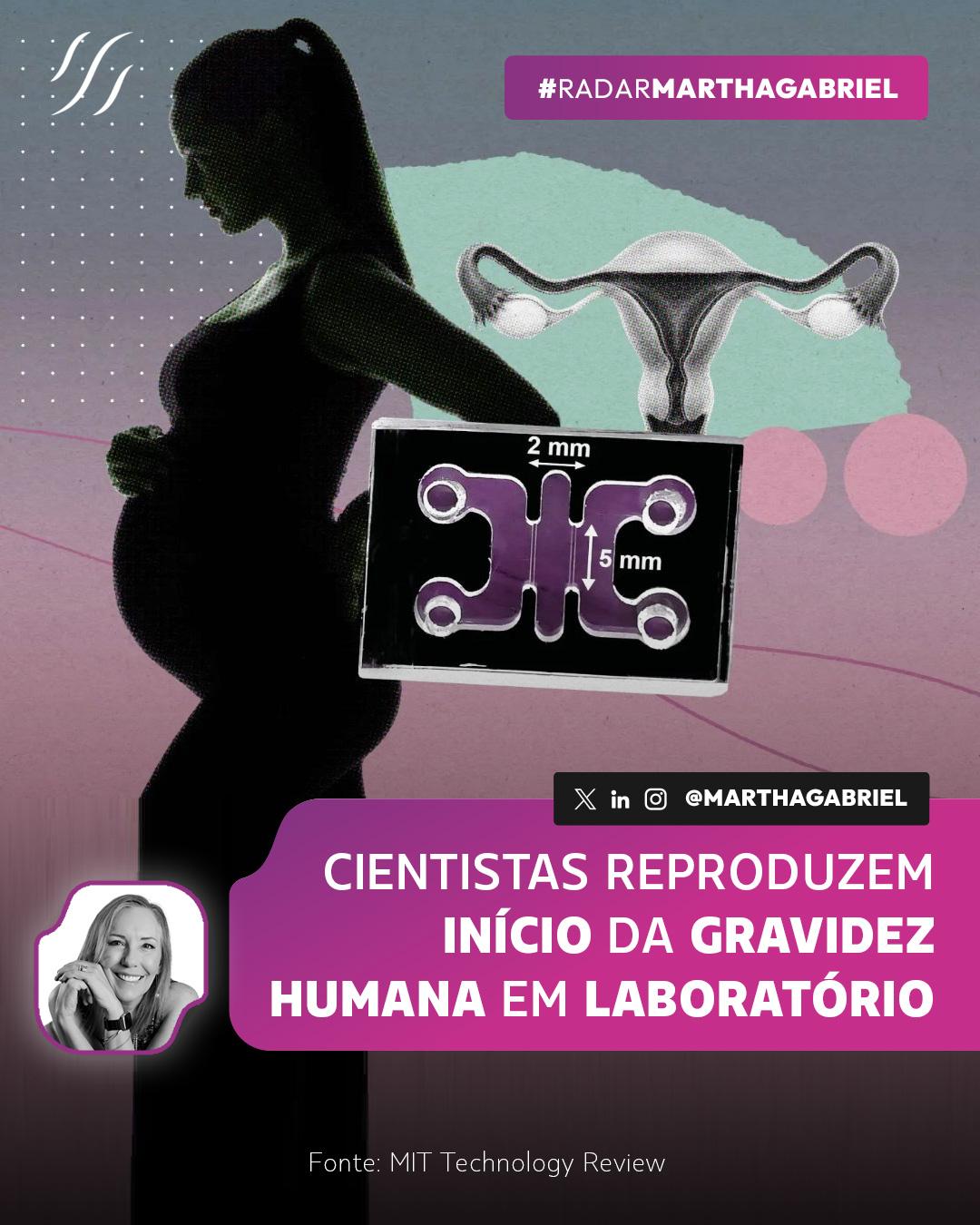 Cientistas reproduzem início da gravidez humana em laboratório