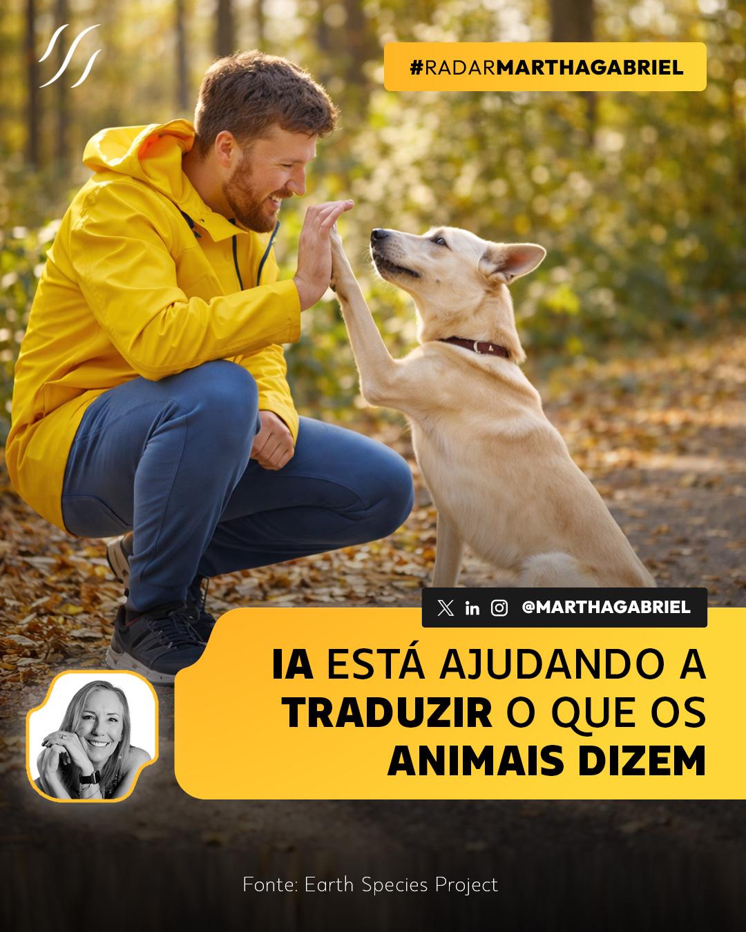 IA está ajudando a traduzir o que os animais dizem