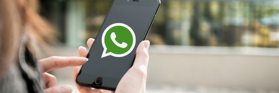 76% interagem com marcas via WhatsApp