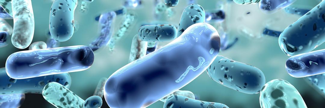 Micróbios do corpo podem revelar se morreremos nos próximos anos