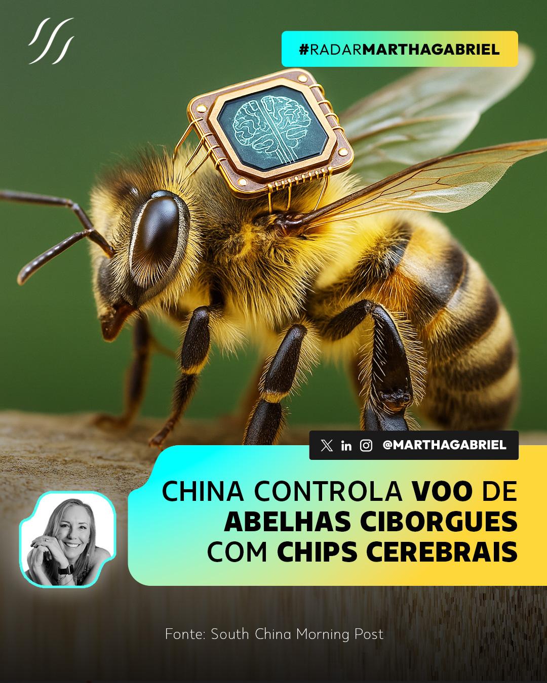 China controla voo de abelhas ciborgues com chips cerebrais
