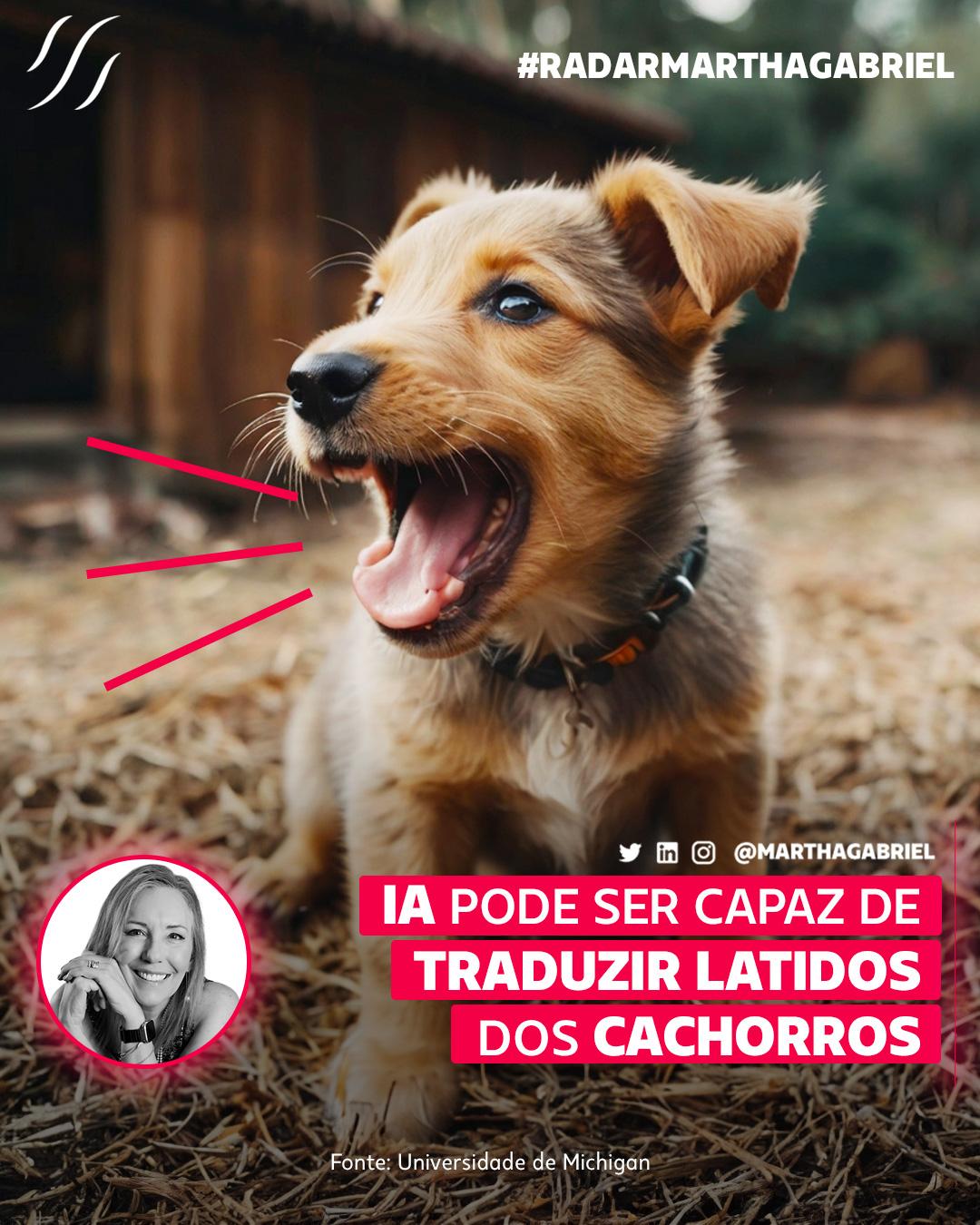 Inteligência Artificial pode ser capaz de traduzir latidos dos cachorros